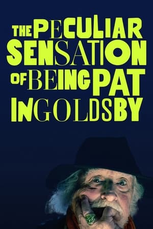 The Peculiar Sensation of Being Pat Ingoldsby poszter