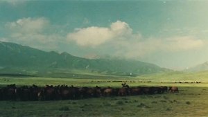 牧马人 háttérkép