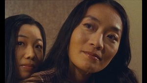 月亮总在照顾大地 háttérkép