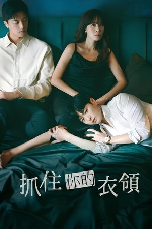 멱살 한번 잡힙시다 poszter