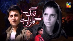 زندگی گلزار ہے kép