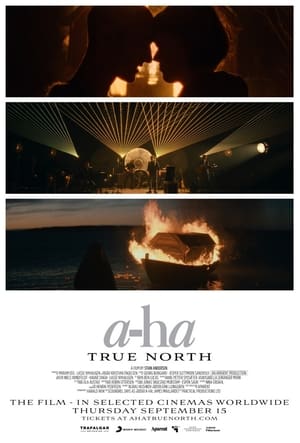 a-ha | True North poszter