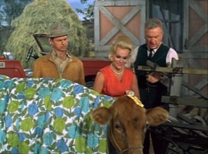 Green Acres Season 1 Ep.12 12. epizód