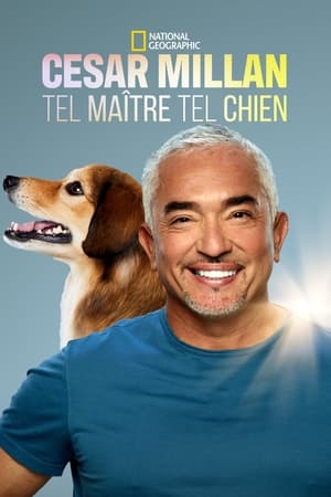 Cesar Millan: Jó gazdi, jó kutya poszter