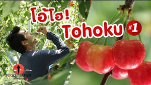 Sugoi Japan Season 2 Ep.113 113. epizód