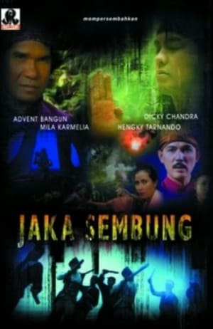 Jaka Sembung poszter