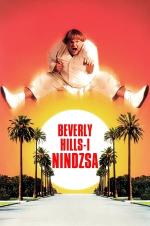 Beverly Hills-i nindzsa