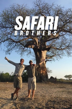 Safari Brothers poszter