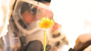 Bajo el Sol háttérkép
