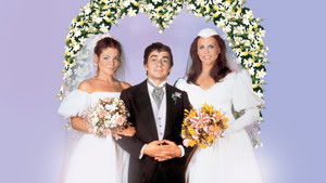 Micki & Maude háttérkép