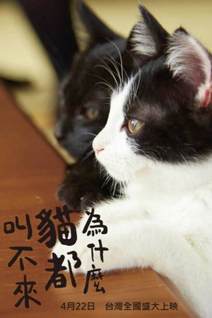 猫なんかよんでもこない。 poszter