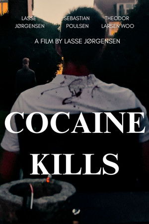 Cocaine Kills poszter