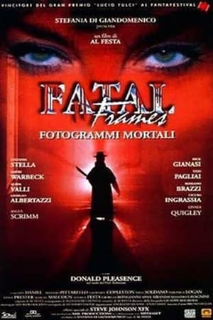 Fatal Frames - Fotogrammi mortali poszter