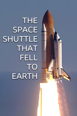 The Space Shuttle That Fell to Earth poszter