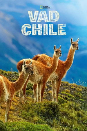 Vad Chile
