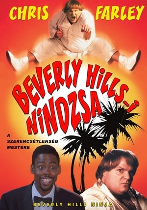 Beverly Hills-i nindzsa poszter