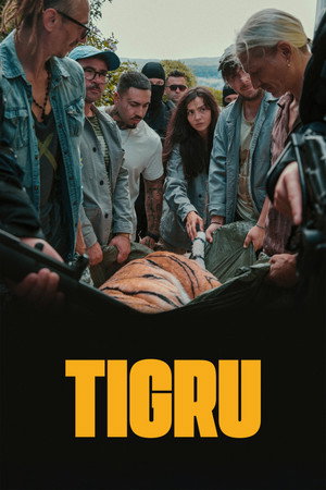 Tigru