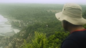 Guardianes del manglar háttérkép