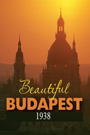 Beautiful Budapest poszter