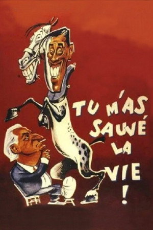 Tu m'as sauvé la vie poszter