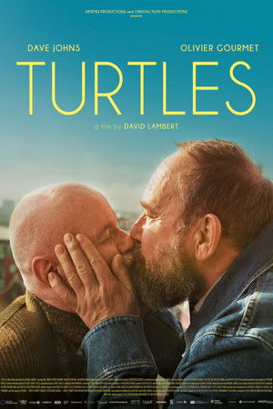Les tortues poszter