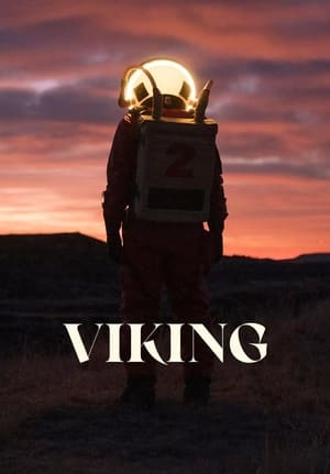 Viking poszter