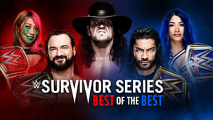 WWE Survivor Series 2020 háttérkép