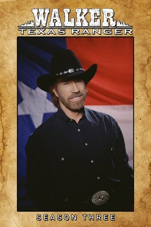 Walker, a texasi kopó