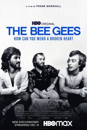 The Bee Gees: How Can You Mend a Broken Heart poszter