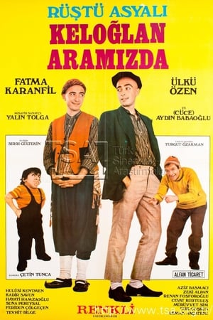 Keloğlan Aramızda