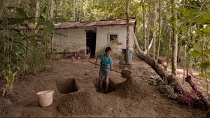 Tierra mojada háttérkép