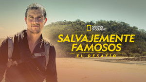 Bear Grylls - Sztárok a vadonban: A kihívás kép