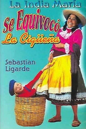 Se equivocó la cigüeña poszter