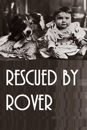 Rescued by Rover poszter