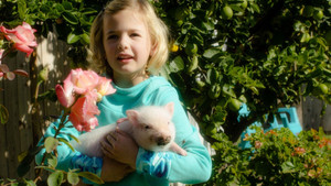Arlo: The Burping Pig háttérkép