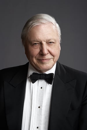 David Attenborough profil kép