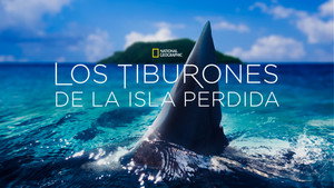 Sharks of Lost Island háttérkép