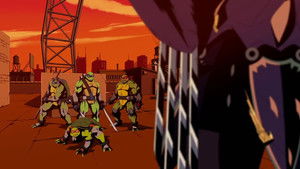 Turtles Take Time (and Space) háttérkép