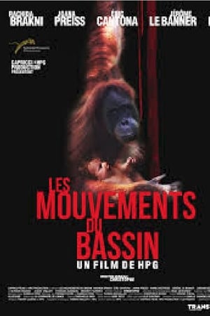 Les Mouvements du bassin poszter