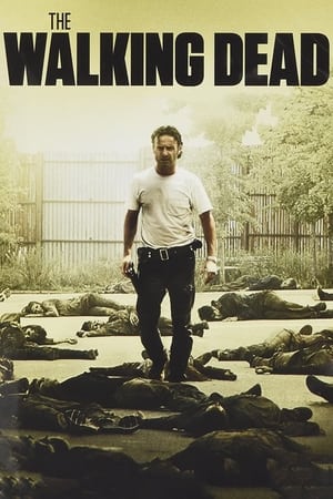 The Walking Dead poszter