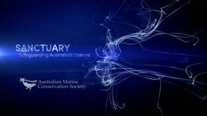 SANCTUARY - Safeguarding Australia's Oceans háttérkép
