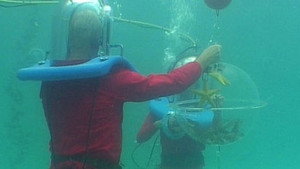 I'm a Celebrity...Get Me Out of Here! Season 7 Ep.14 14. epizód
