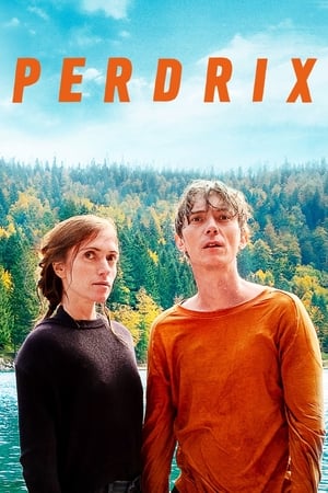 Perdrix poszter