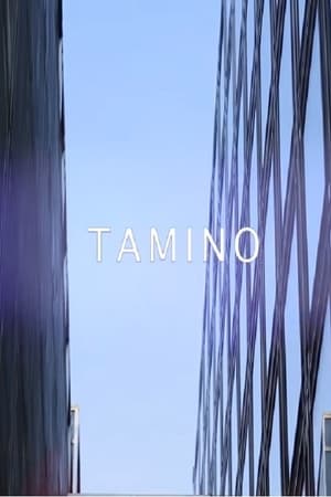 Tamino - live @ Les Concerts Volants poszter