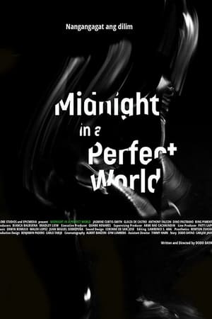 Midnight in a Perfect World poszter