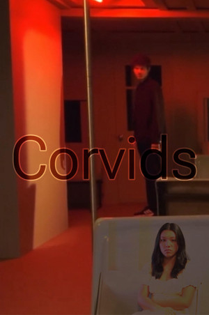 Corvids poszter