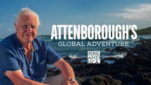 Attenborough világkörüli kalandjai kép