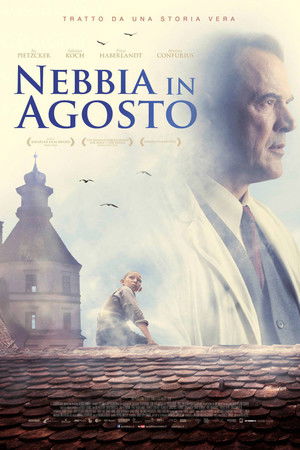 Augusztusi köd poszter