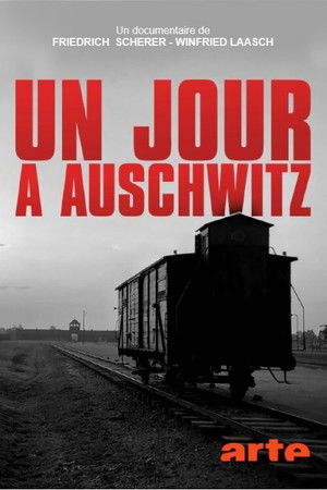Egy nap Auschwitzban poszter
