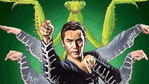 A shaolin sáska háttérkép